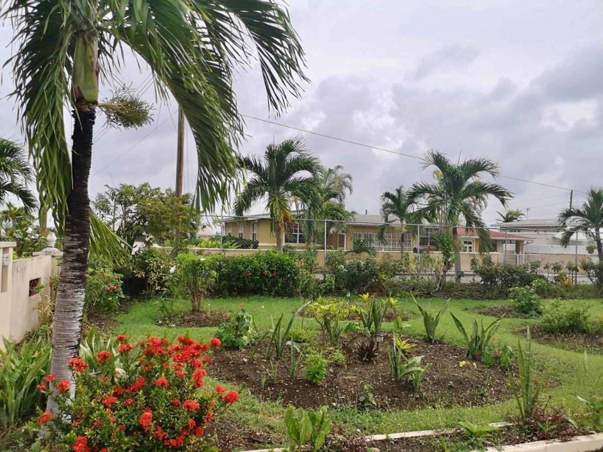 Ventnor House Apartments Bridgetown Extérieur photo